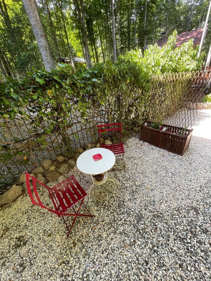 Chalet I Folletti Apartment อับบาเดียซานซัลวาตอเร ภายนอก รูปภาพ