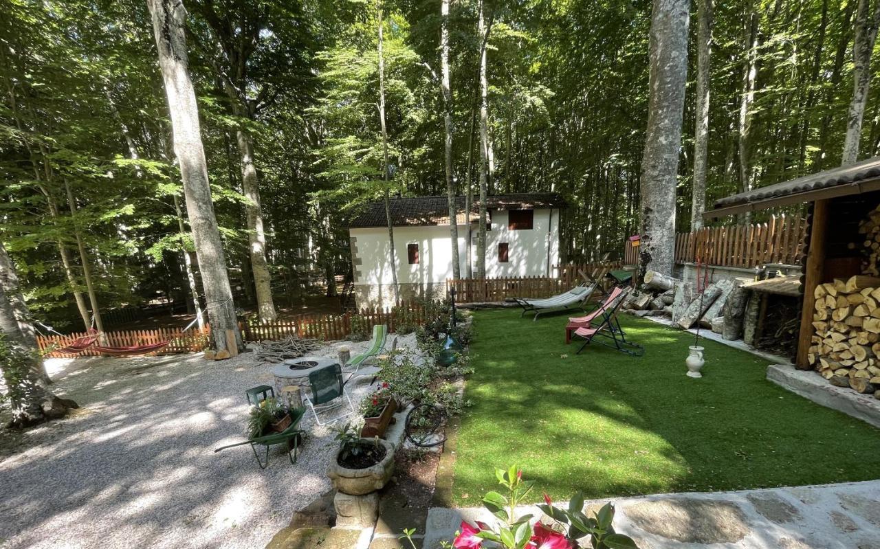 Chalet I Folletti Apartment อับบาเดียซานซัลวาตอเร ภายนอก รูปภาพ