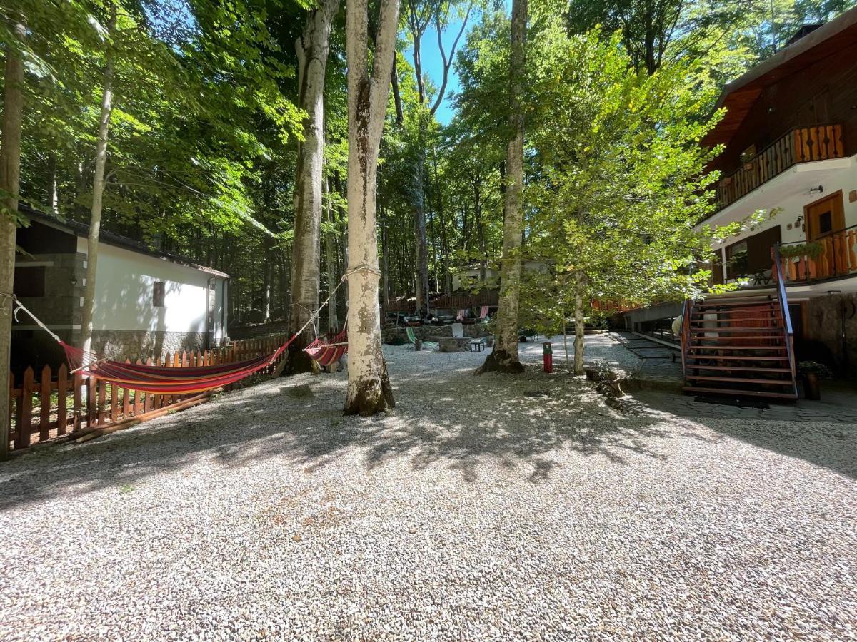 Chalet I Folletti Apartment อับบาเดียซานซัลวาตอเร ภายนอก รูปภาพ