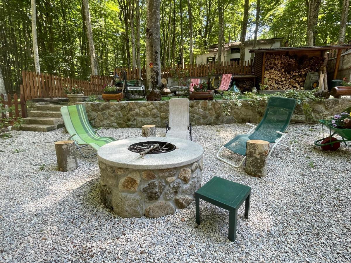 Chalet I Folletti Apartment อับบาเดียซานซัลวาตอเร ภายนอก รูปภาพ
