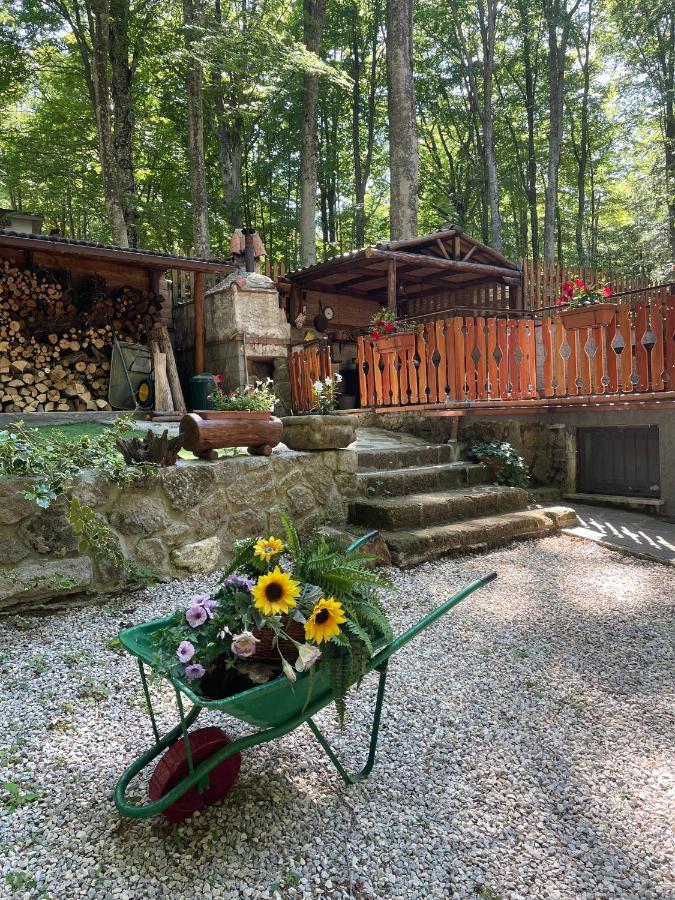 Chalet I Folletti Apartment อับบาเดียซานซัลวาตอเร ภายนอก รูปภาพ